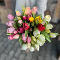 Blumen & Pflanzen