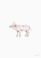 Postkarte "Schwein" von Inkylines