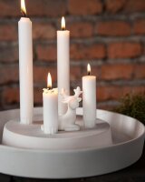 Rentier "Sten ruhend" medium von Storefactory