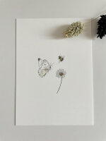 Postkarte "Schmetterling, Gänseblümchen...