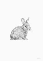 Postkarte "Hase black and white" von Inkylines