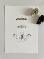 Postkarte "Schmetterling" von Inkylines