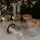 Vorratsglas Mini Christmas "Tannenbäume" von Eulenschnitt