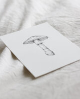 Postkarte "Pilz" von Inkylines