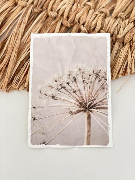 Dirty Old Canvas Bilder DIN A 4 von More than Canvas - Pusteblume