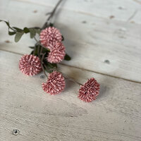 Cornflower small darkpink