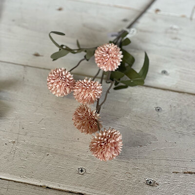 Cornflower small lightpink