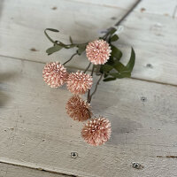 Cornflower small lightpink