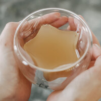 Doppelwandiges Sternglas "Stern" 200ml von...