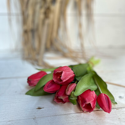 Tulpenbund Vermeer rosa/pink