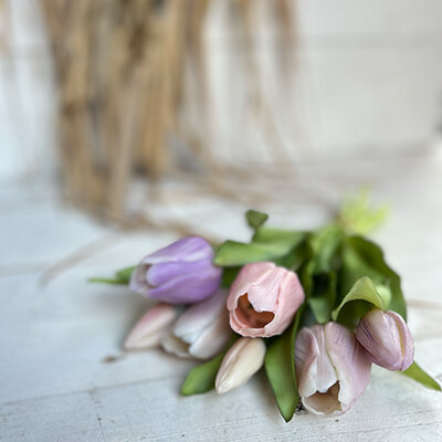 Tulpenbund Vermeer lavendel-mix