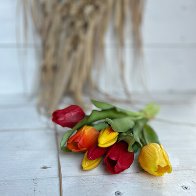 Tulpenbund Vermeer rot- orange