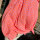 Musselinbluse regular "Leo neonorange-rosa" One Size