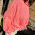 Musselinbluse regular "Leo neonorange-rosa" One Size