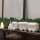LED Lichtzug Set von 3 von Räder