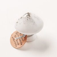 Winter Glückspilze von Good old Friends Silbersterne