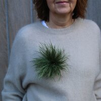 Brosche "Feder" khaki