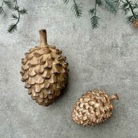Pinienzapfen liegend