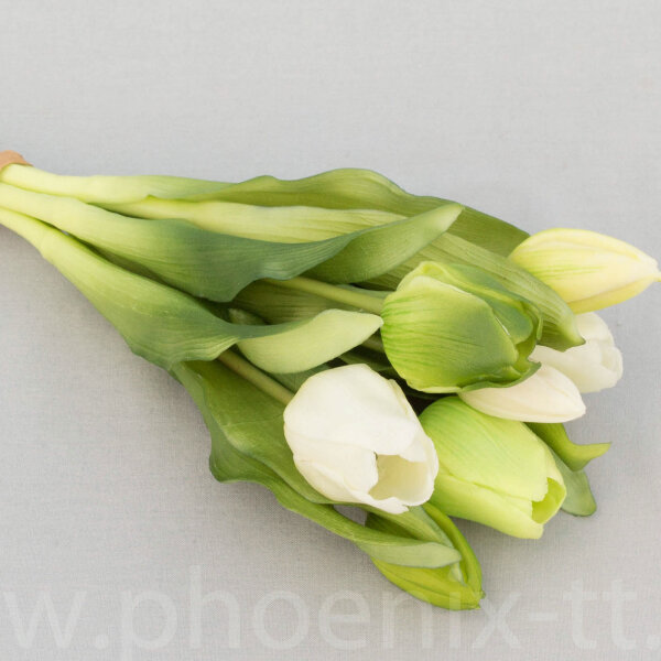 Tulpenbund Vermeer creme/grün/mix