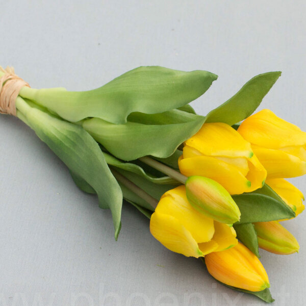 Tulpenbund Vermeer gelb