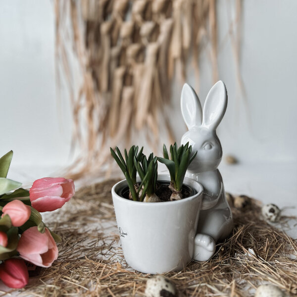 Porzellanhase sitzend im Topf