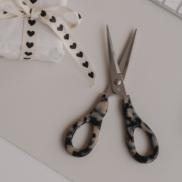 Schere silber Leo von Eulenschnitt