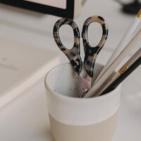 Schere silber Leo von Eulenschnitt