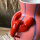 Vase Lobster Dolomite Multi - KEIN VERSAND - Nur Abholung