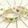 Statement-Armband "Hearts" von Parsley & Pepper