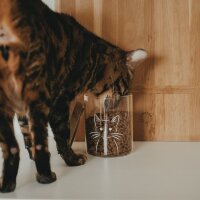 Vorratsglas "Katze" 13cm von Eulenschnitt