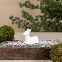 Reh "Bea ruhend" von Storefactory