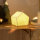 LED Weihnachtslampe Krippe von Räder