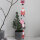 Winterfreundekette "Santa" von Good old friends