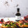 Balsamico "Granatapfel" von Deligreece 250ml